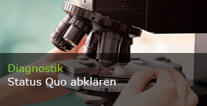 Diagnostik: Status Quo abklären